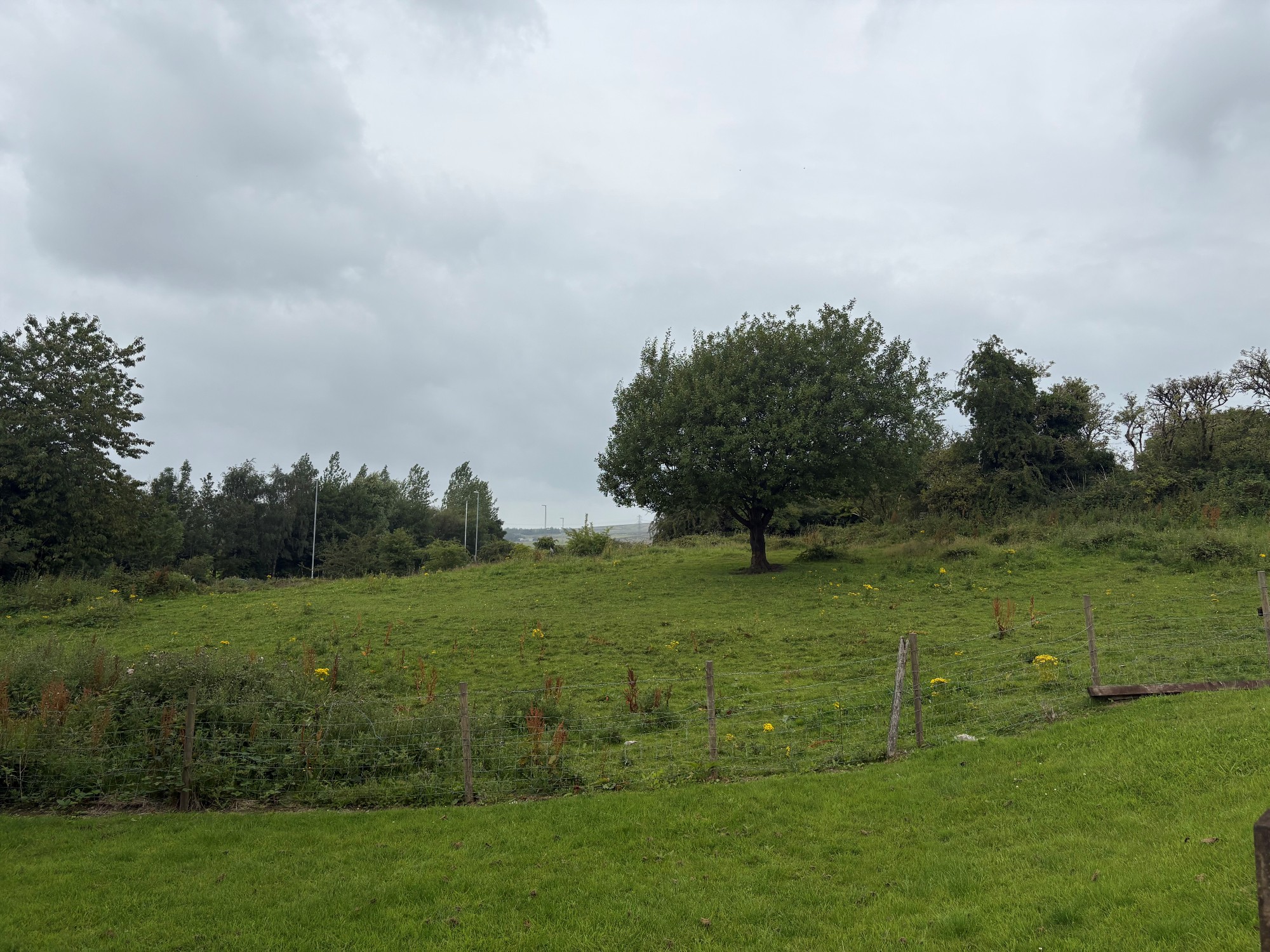 Birch Hill garden Site Photo 1.jpg