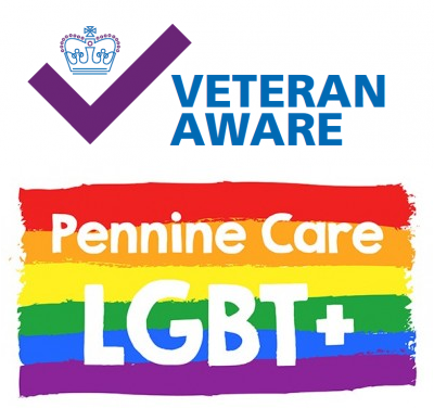 Veteran Aware and LGBT logos
