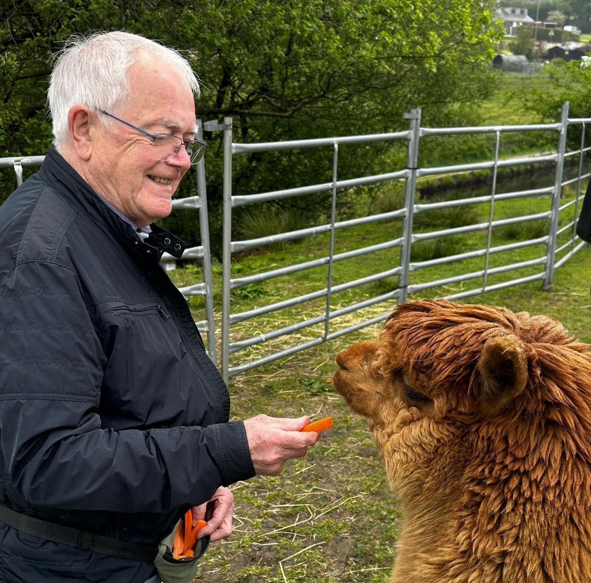 A man feeding an alpaca.jpg